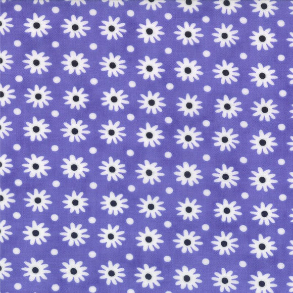 22216-5  Hubba Bubba Dark Purple w/ white flowers