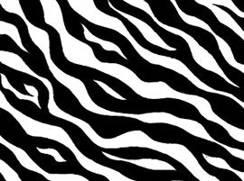 22961-ZJ  Wild Flowers Zebra Print, White/Black