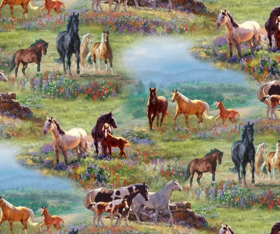 8702MULTI - Horses in Wild Flower Fields