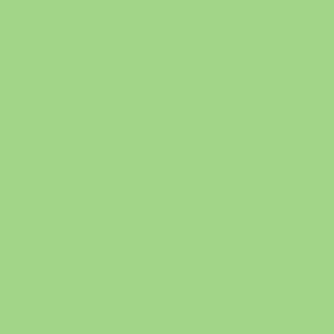 9000 731 - Colorworks Premium Solids - Celadon