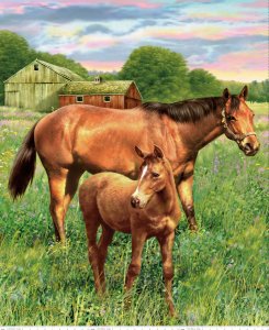 PD7010  Mare and Foal Panel